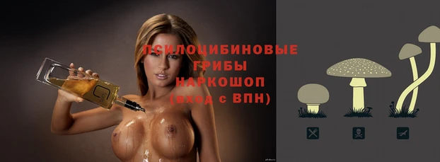 шишки Лагань