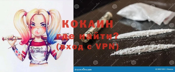 индика Кулебаки