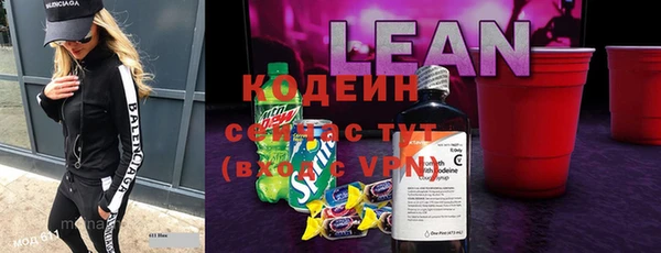 шишки Лагань