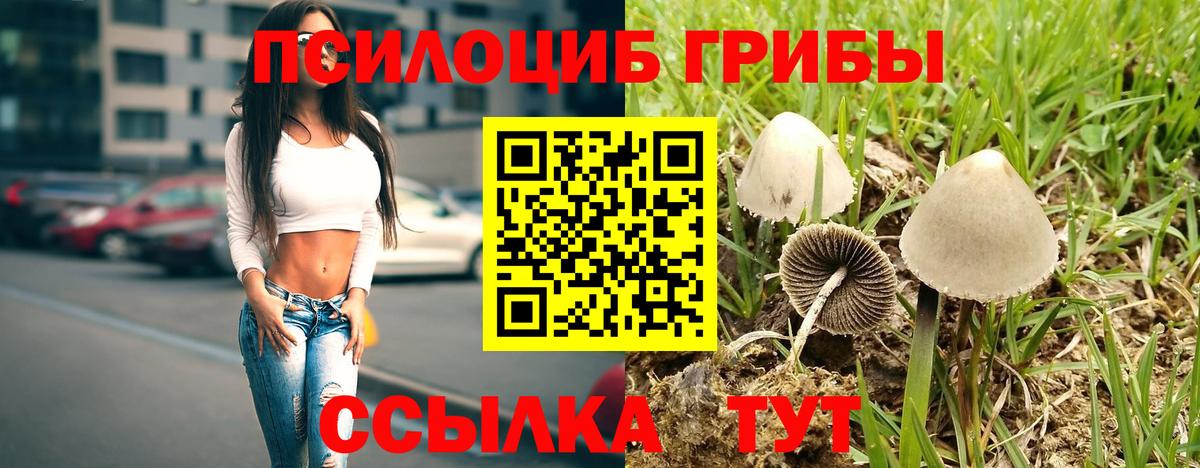 Псилоцибиновые грибы Psilocybine cubensis  Барнаул  Галлюциногенные грибы Psilocybe 